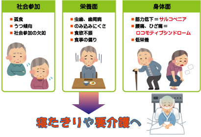 ハイブリッドビクス - フレイル・サルコペニアの関連性